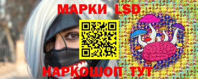 спиды Славгород
