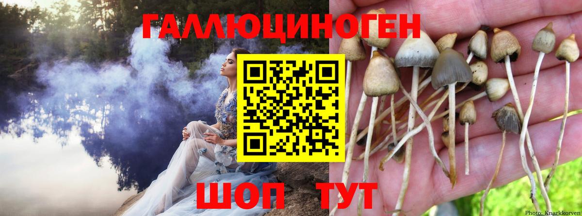 Псилоцибиновые грибы прущие грибы  Галлюциногенные грибы ЛСД  Омск  купить закладку  Вход с VPN 